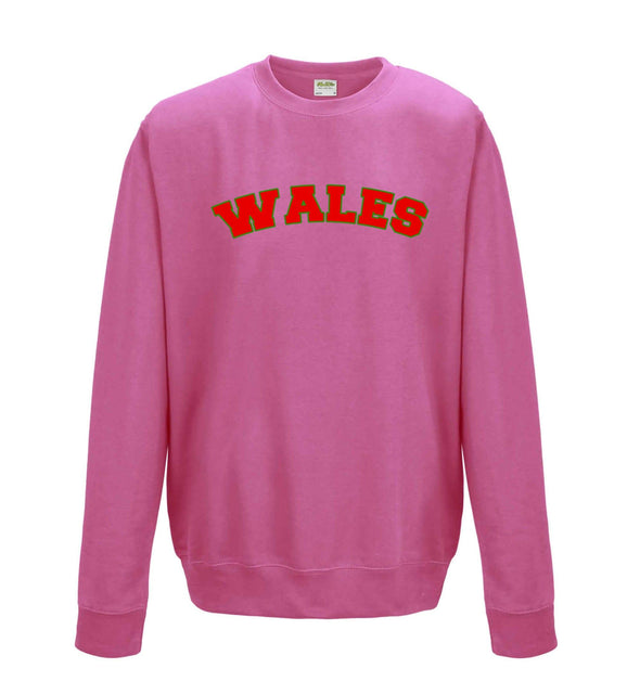 Wales Printed Printed Sweatshirt - Mr Wings Emporium 